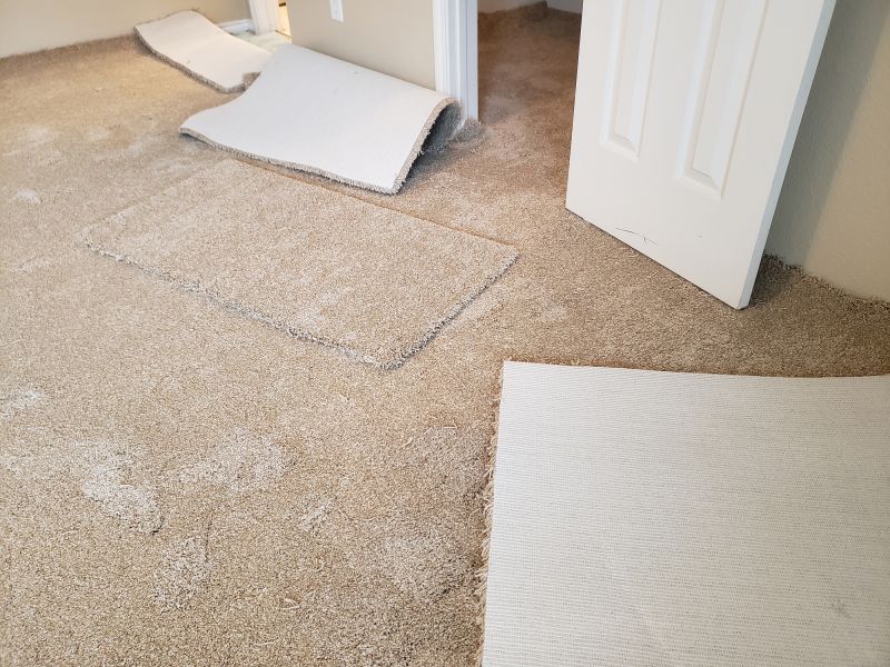 Basement Carpet Stretching in Olathe, KS