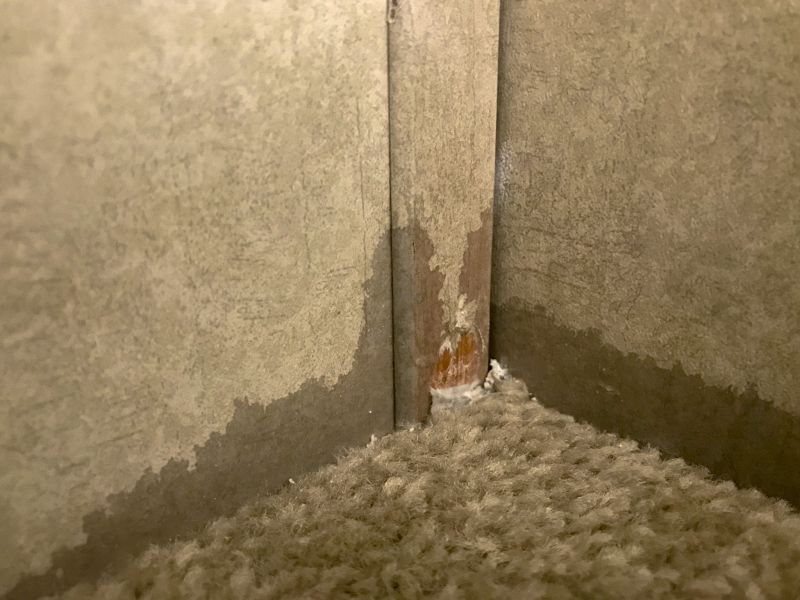 Carpet Patching in Olathe, KS