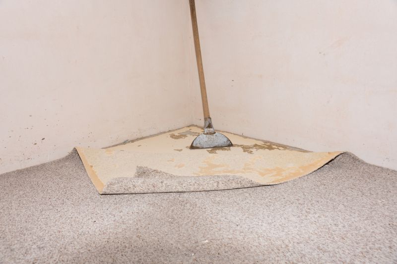 Carpet Ripples Repair