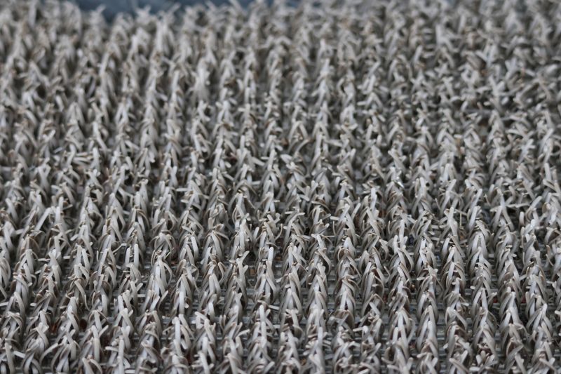 Stair Carpet Repair in Littleton, CO